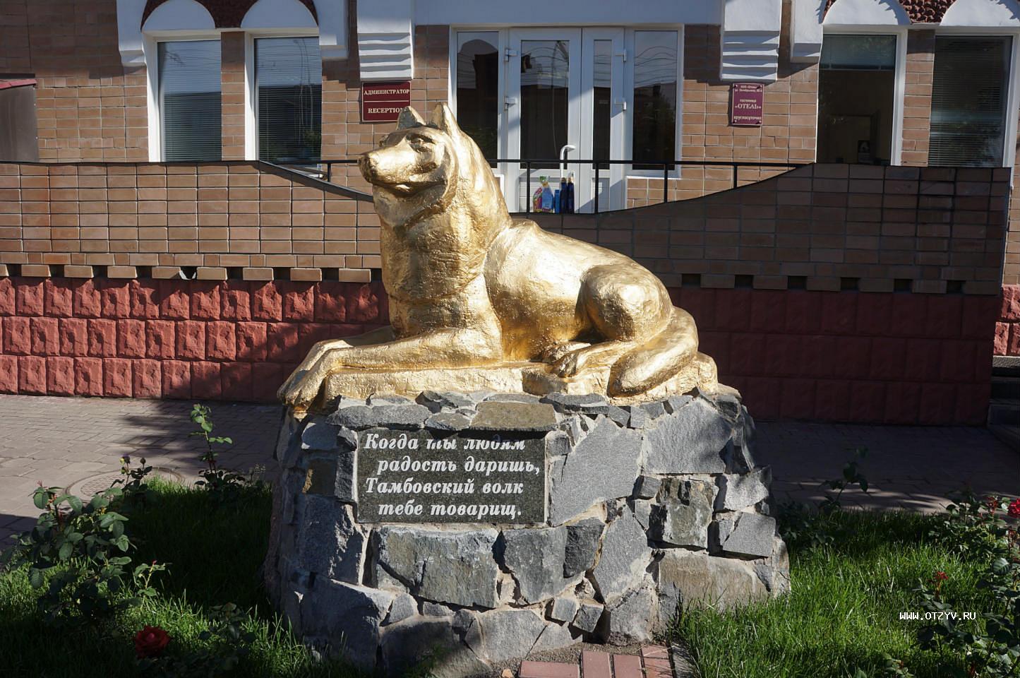 image_tour